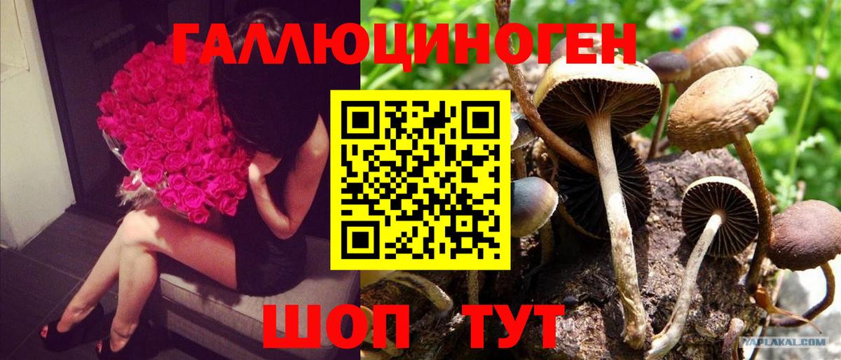 Псилоцибиновые грибы мухоморы Новый Уренгой