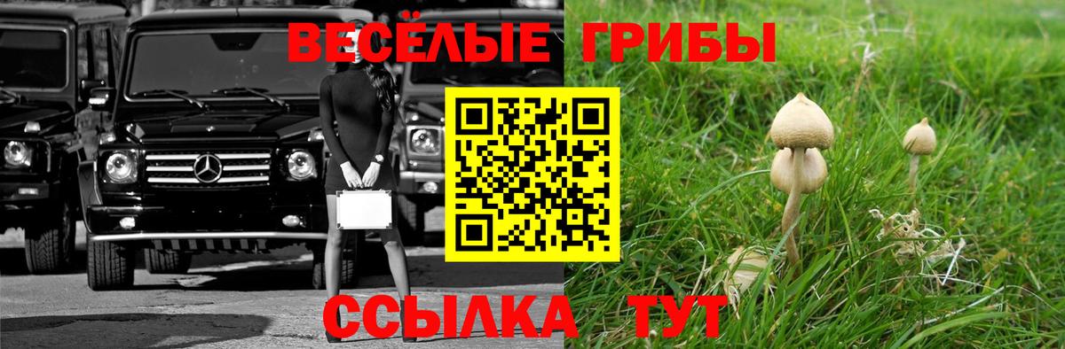 Новый Уренгой  Галлюциногенные грибы MAGIC MUSHROOMS  Вход с VPN 